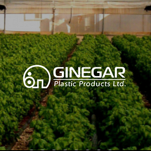 ginegar logo